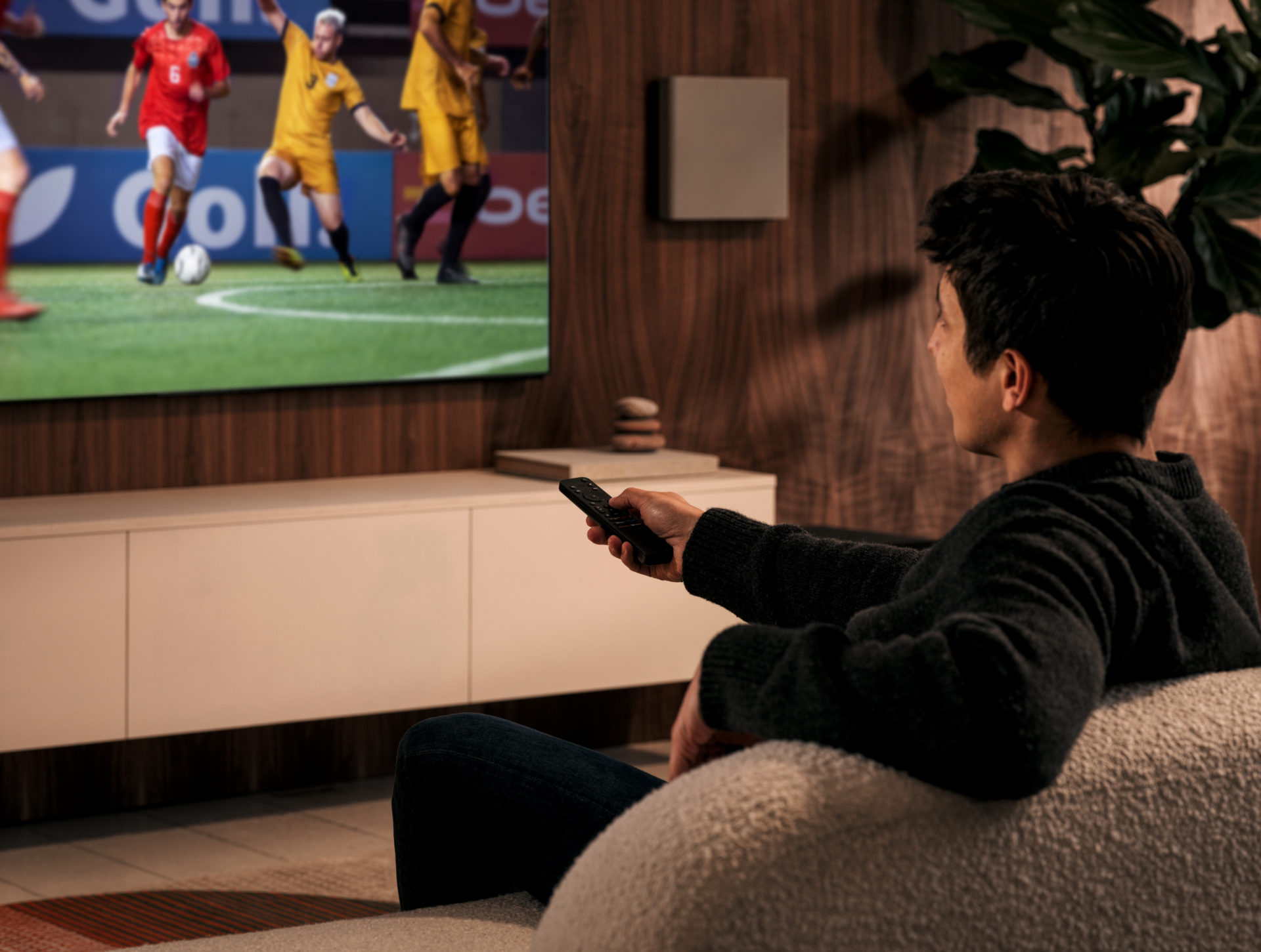 Bravia | SONY